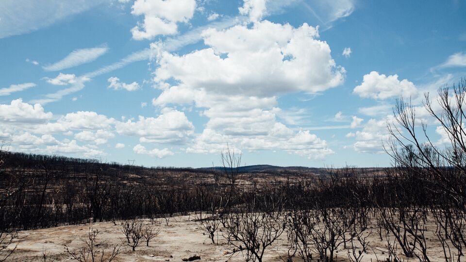 Anglicare bushfire response